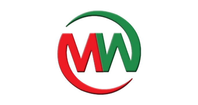 Muhammad Waseem's blog